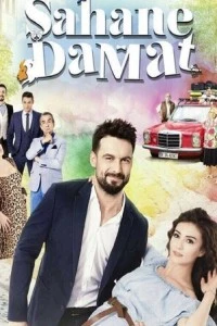 Замечательный зять - постер