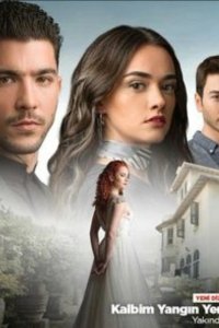 Огонь в моем сердце - постер